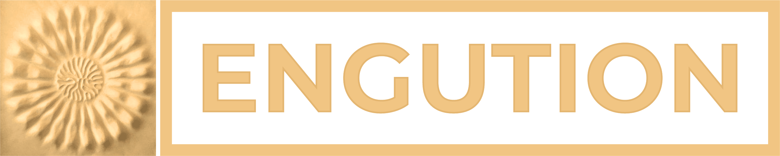 Engution